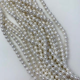 6mm Shell Pearl - Classic White